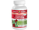hoodia pills