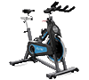 horizon exercise bike