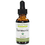 turmeric curcumin extract